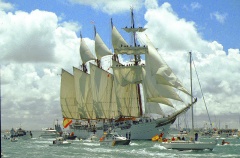 regata 2-02
