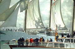 regata 2-04