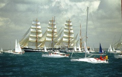 regata 2-11