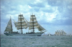 regata 2-19