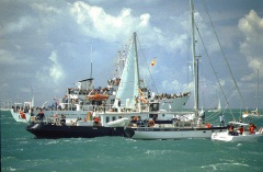 regata 2-42