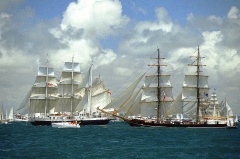 regata 2-50