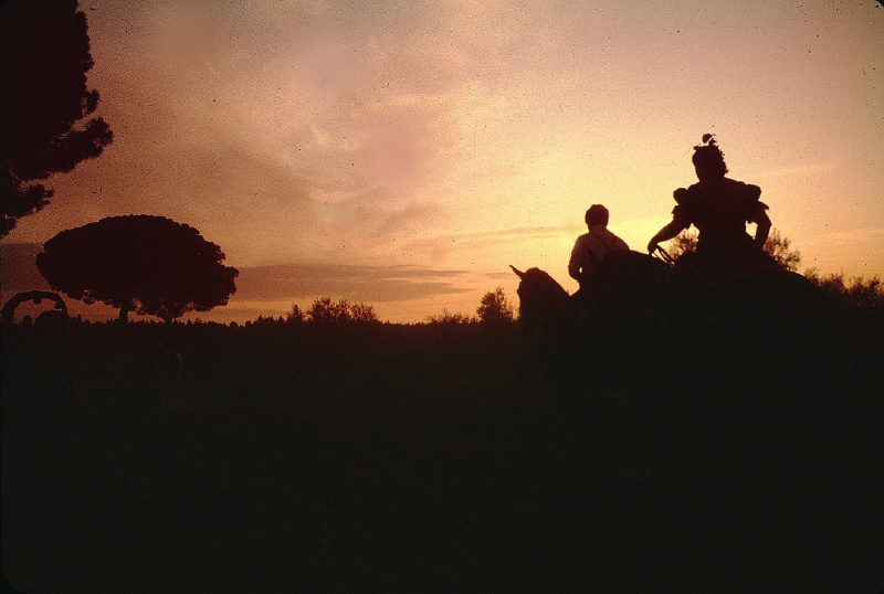 9j1