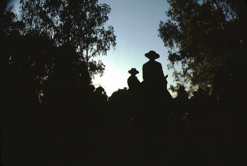 9l1a