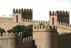 avila 3-35