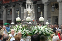 corpus 186