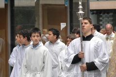 corpus 203