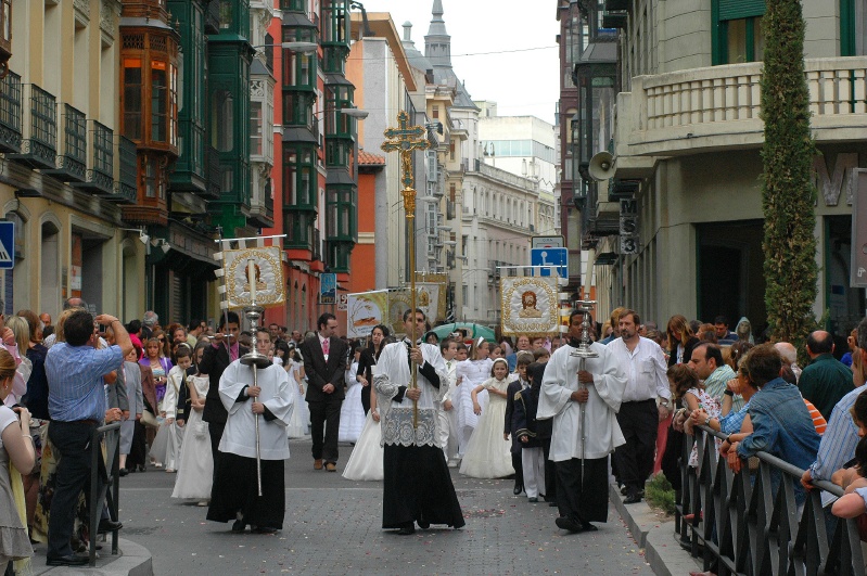 corpus 208