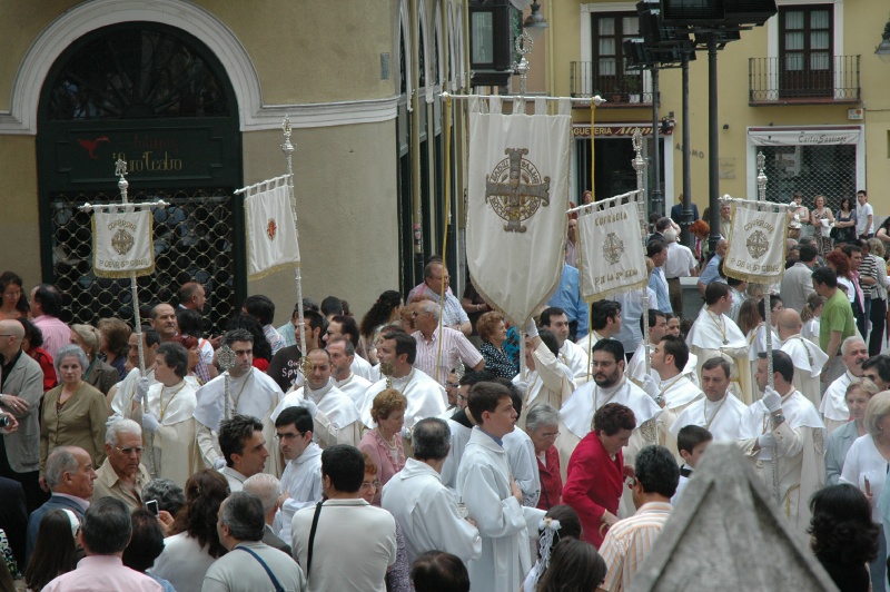 corpus 233