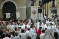 corpus 233