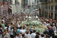 corpus 234