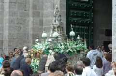 corpus 241