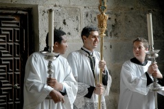 corpus 241c