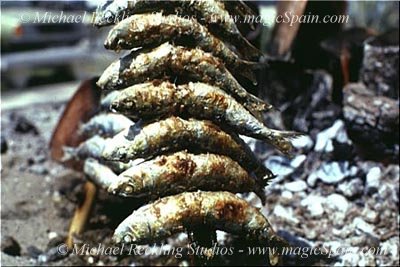 sardinas006